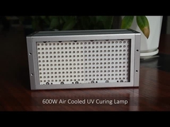 Factory Customized 600W UV LED light 365nm 385nm 395nm 405nm for Air Cooling UV Curing Lamp