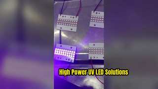 UV LED Module